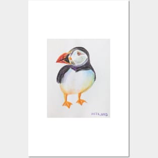 Puffin - drawing with color pencils Posters and Art